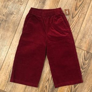 New! Tea Collection burgundy wide leg cords